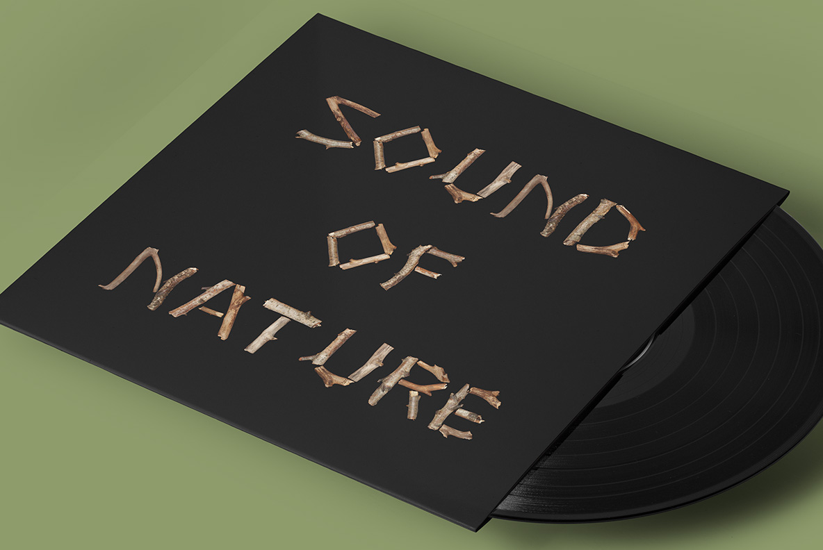 Dry Twigs Font Vinyl Record Mockup dry twigs font on sound of nature album cover