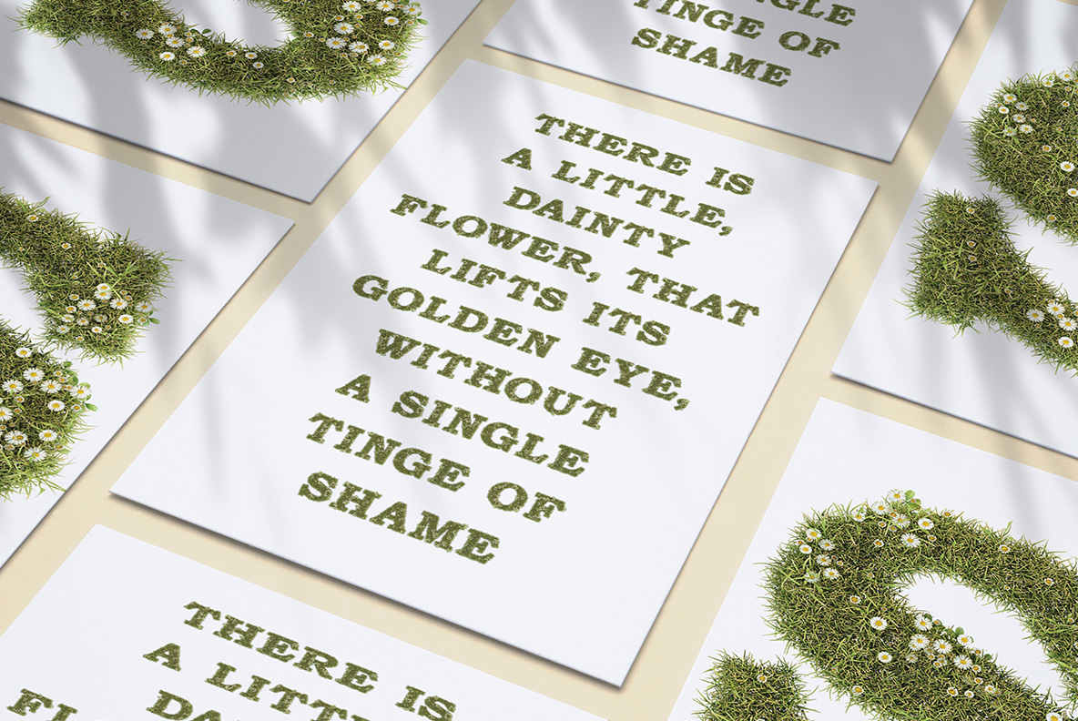 Printed posters carrying a short verse about a small flower in the Daisy Font