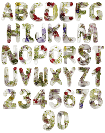 Ice and Flowers food Font