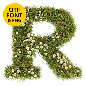 Letter R of the Daisy Font on a light square with the OTF and PNG badge