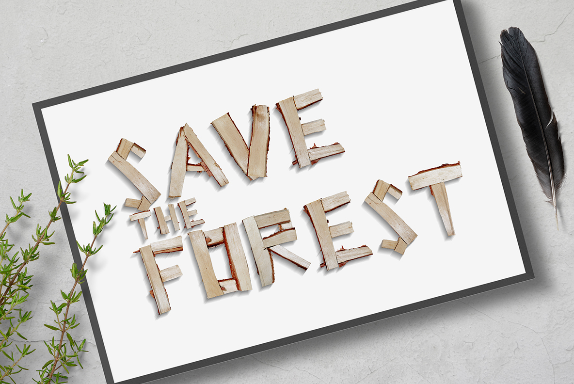 Log Font card mockup White card with greenery carrying three lines set in the Log Font