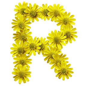 Positive Flower Typeface