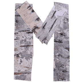 Birch Font