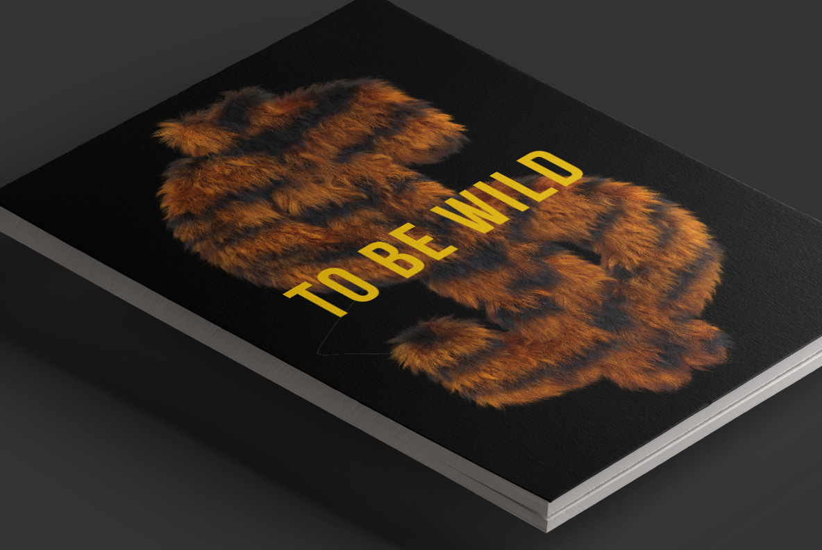 Black book cover with two large Tiger Font letters and a short line in yellow