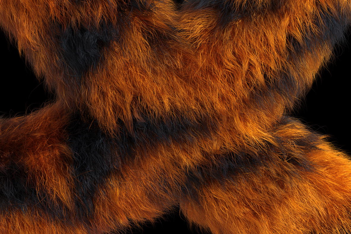 Macro close-up of the Tiger Font showing long orange hairs and soft black stripes