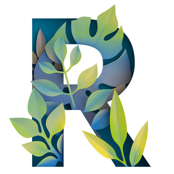Second leafy letter R from the Paper-Jungle Font on white
