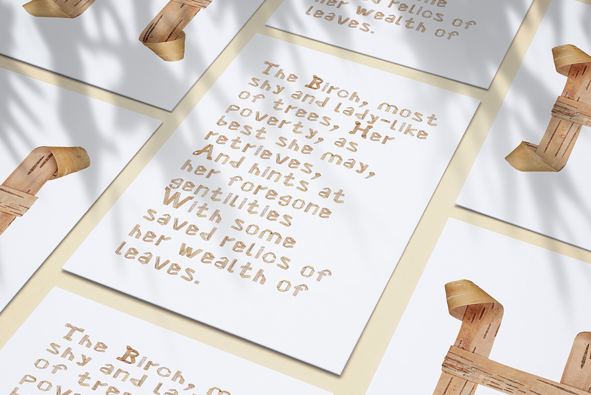 White printed cards displaying a birch poem and oversized bark initials in Birch Curl Font under soft leaf shadows.