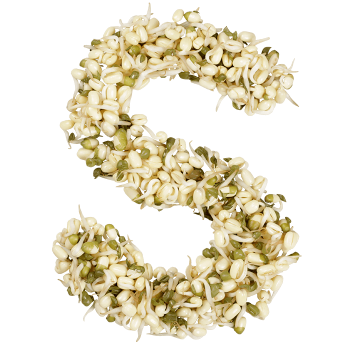 Sprout Font. Plant Awesome Designs With Healthy Font - Image 3