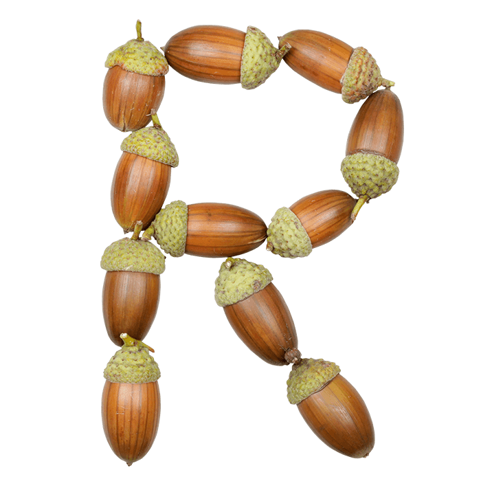 Acorn Font. Make Green Designs With Handmade Font - Image 3