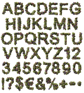 Alphabet chart of the Virus Font with every letter grown from colonies