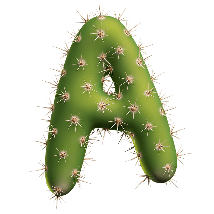 Close-up of one Texas Cactus Font letter showing matte green skin and clusters of pale spines