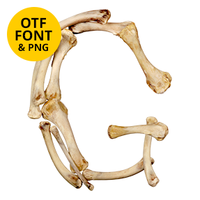 Letter G of the Lovely Bones Font on a light square with the OTF and PNG badge