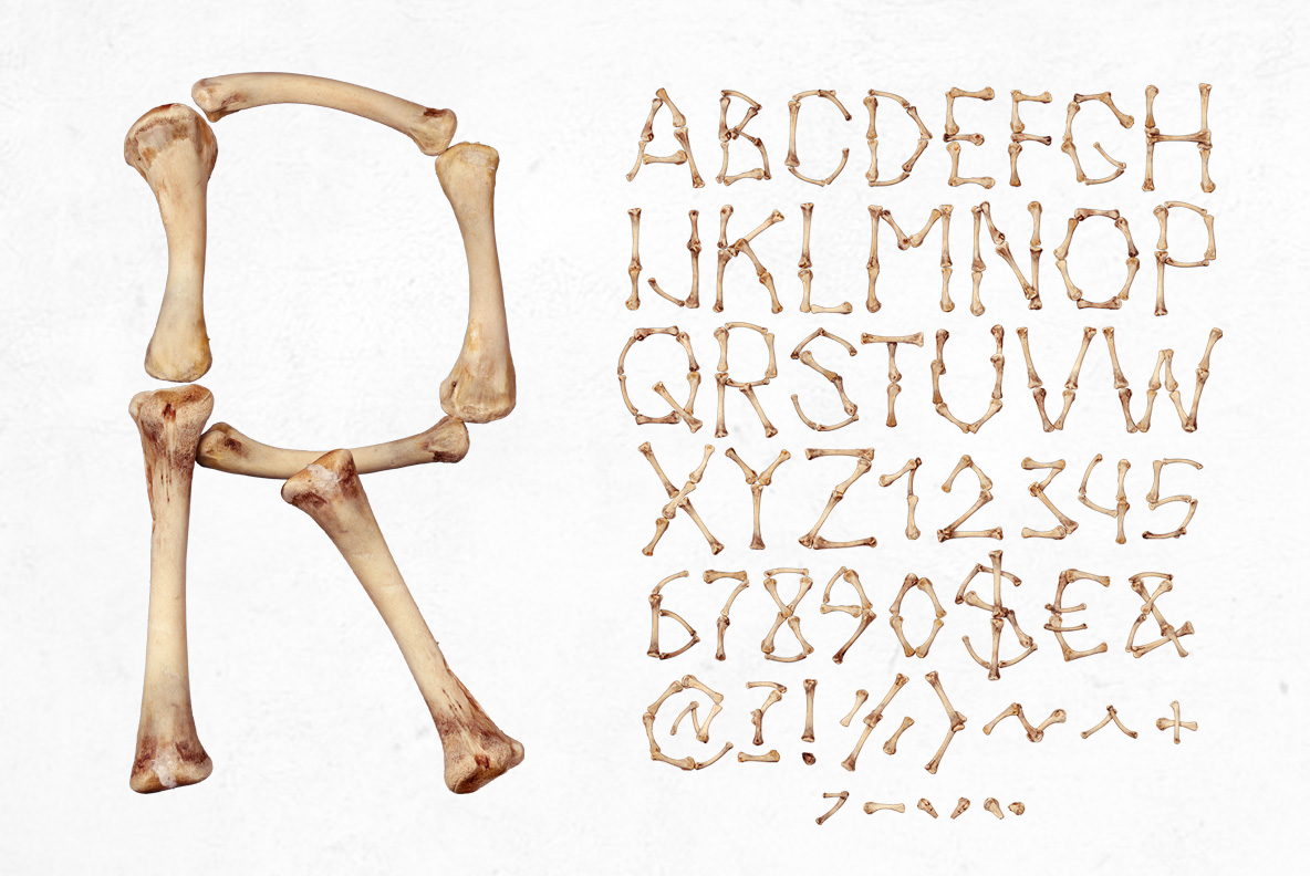 Chicken Bones Font character map Bone letter R beside the full Chicken Bones Font character map