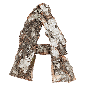 Natural Bark font
