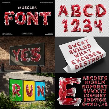 Muscles alphabet