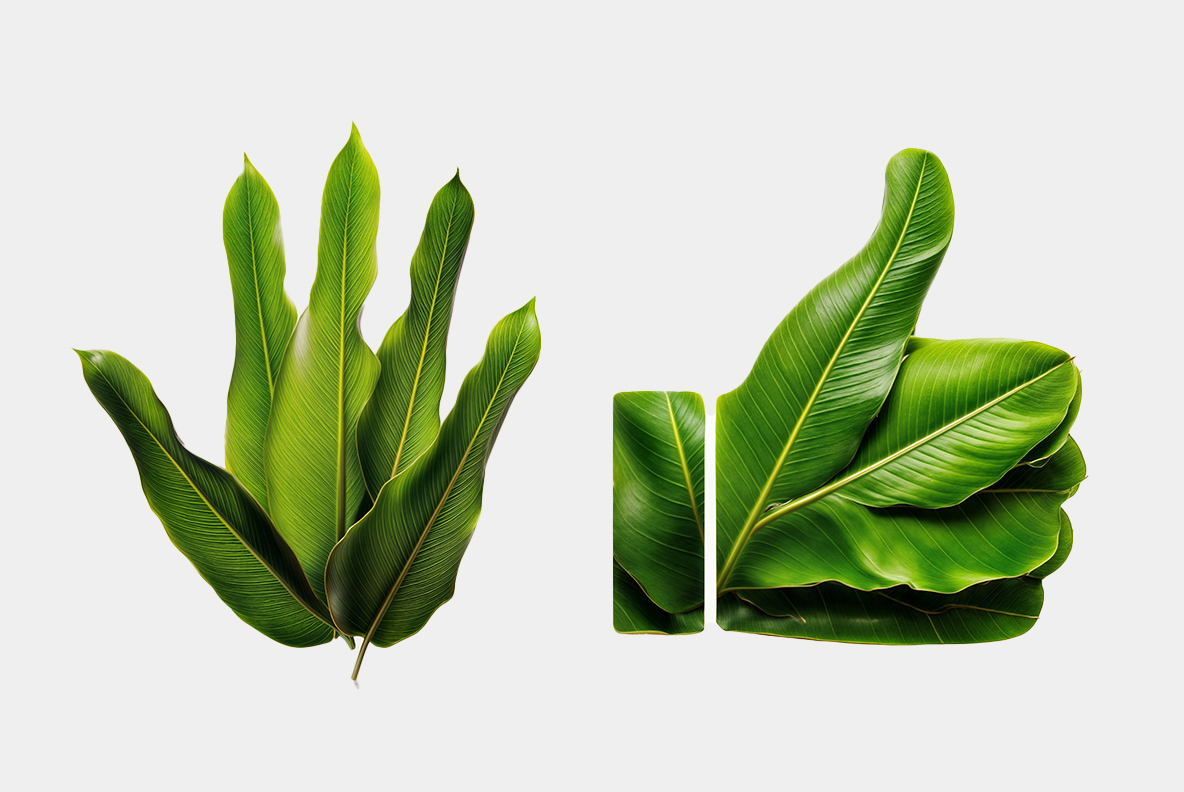 Tropical Leaves Font Leaf Compositions Two hand-shaped leaf compositions built from Tropical Leaves Font elements
