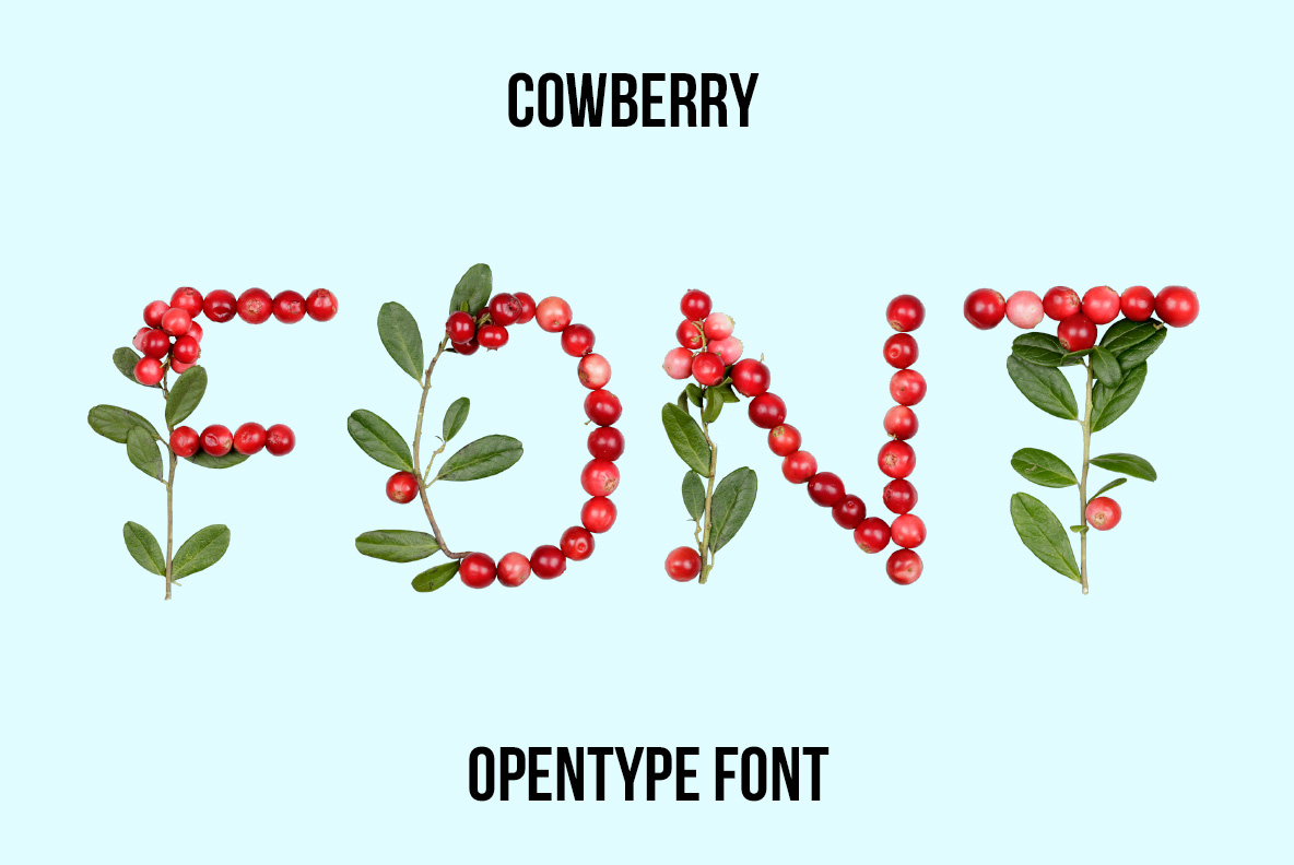 Cowberry Font with letters created from red cowberries, green leaves and natural branches